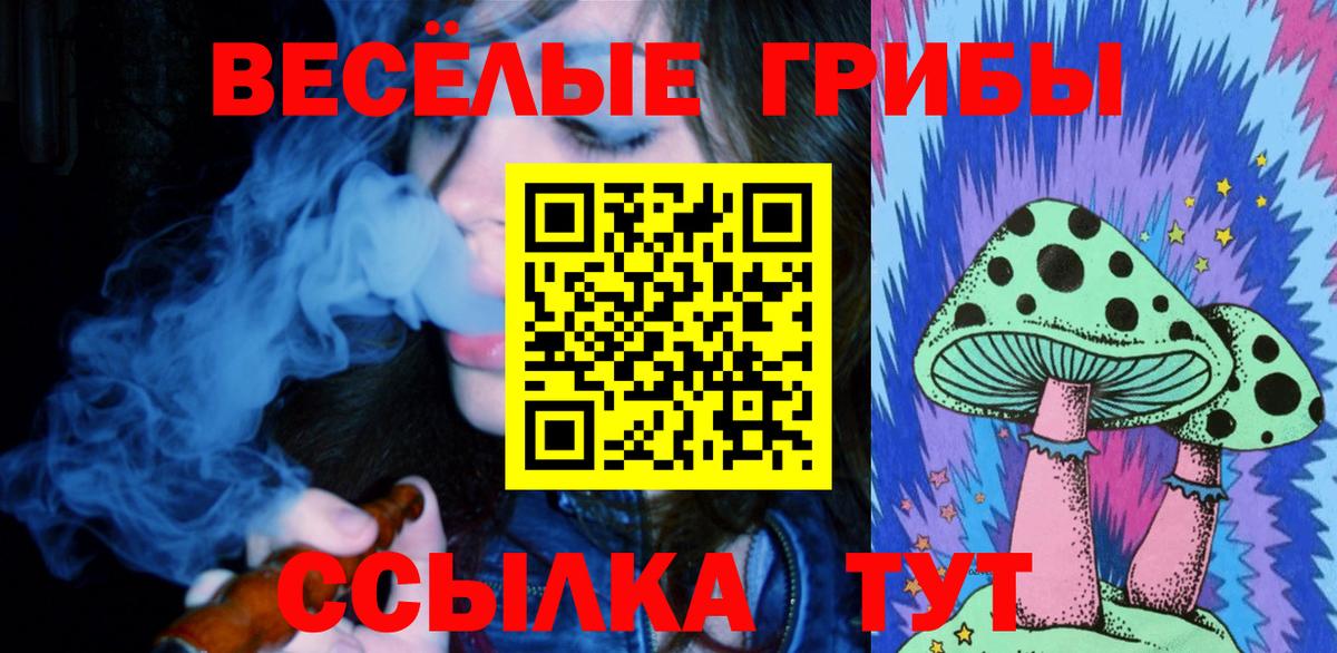 Галлюциногенные грибы GOLDEN TEACHER Тайшет