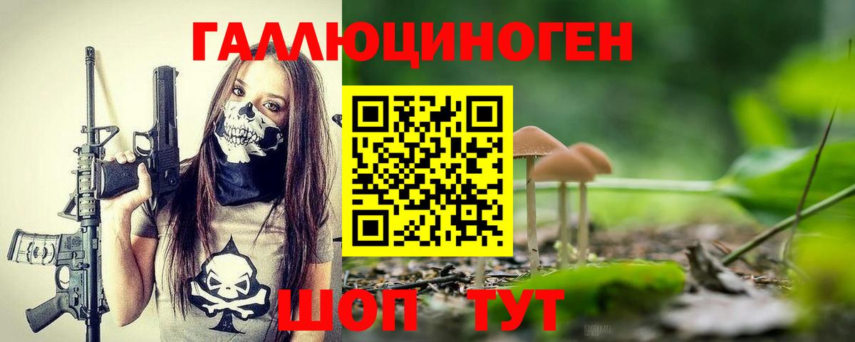 Псилоцибиновые грибы Psilocybine cubensis  Псилоцибиновые грибы Magic Shrooms  Тайшет  Вход с VPN 